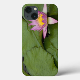 Case-Mate iPhone Case Chine, Hong Kong, Nouveaux Territoires. Chi Lin