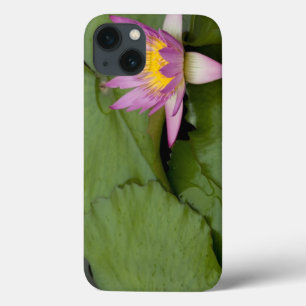 Coque Case-Mate iPhone Chine, Hong Kong, Nouveaux Territoires. Chi Lin