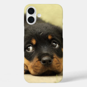 Coque Pour iPhone 16 Plus Chiot