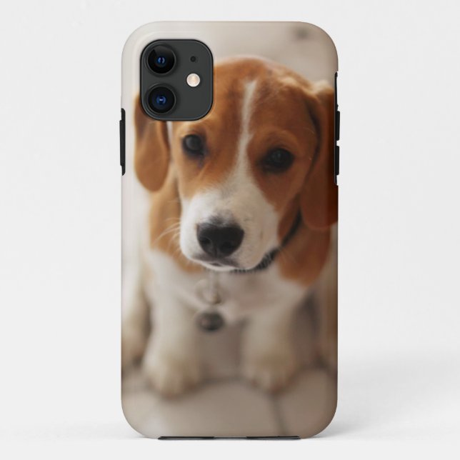 Coques Case-Mate iPhone Chiot 2 de beagle (Dos)