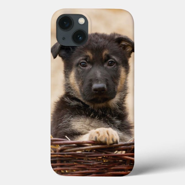 Coques Case-Mate iPhone Chiot Allemand En Panier (Verso)