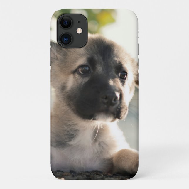 Coques Case-Mate iPhone Chiot allemand sur la corniche (Dos)