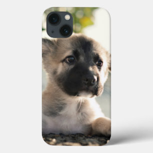 Case-Mate iPhone Case Chiot allemand sur la corniche