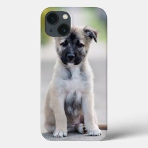 Case-Mate iPhone Case Chiot allemand sur le sentier de randonnée