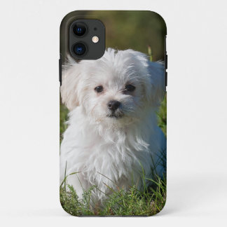Coques Pour iPhone chiot blanc en parc