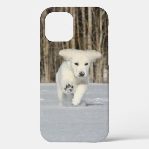 Case-Mate iPhone Case Chiot blanc Golden Retriever en neige