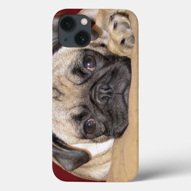 Coques Case-Mate iPhone Chiot Carlin mignon (Verso)