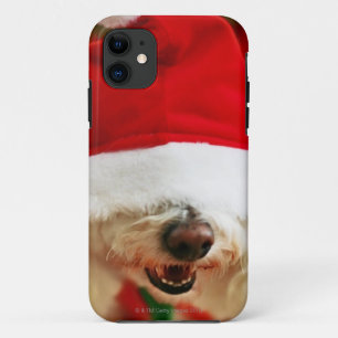 Coques Pour iPhone Chiot de Bichon Frise utilisant le costume de Père
