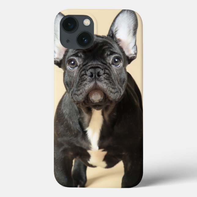 Coques Case-Mate iPhone Chiot de bouledogue français (Verso)