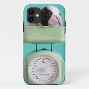 Coques Pour iPhone Chiot de bouledogue français