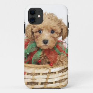 Coque Case-Mate iPhone Chiot de caniche se reposant dans le panier de