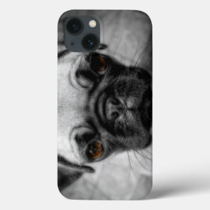 Case-Mate iPhone Case Chiot de carlin