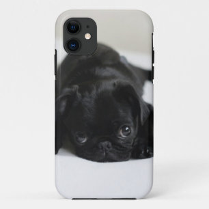Coque Case-Mate iPhone Chiot de Carlin noir