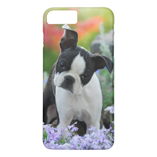 Coques Case-Mate iPhone Chiot de chien de Boston Terrier (Dos)