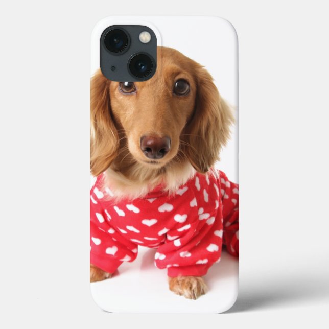 Coques Case-Mate iPhone Chiot de Dachshund portant l'tenue de Saint Valent (Verso)