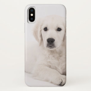 Coque Case-Mate Pour iPhone Chiot de golden retriever