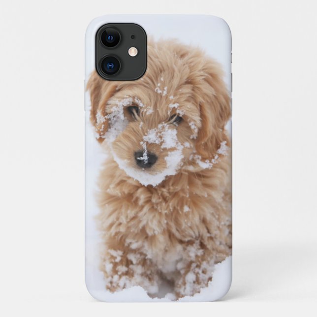 Coques Case-Mate iPhone Chiot De Goldendoodle Avec La Neige À La Face (Dos)
