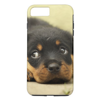 Case-Mate iPhone Case Chiot de rottweiler curieux