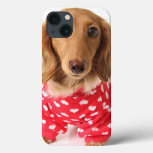 iPhone 13 Coque Chiot de teckel utilisant l'équipement de
