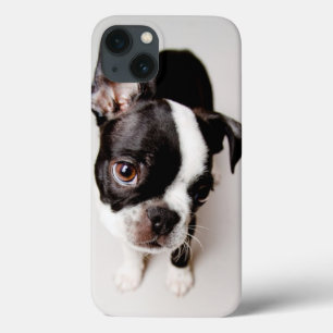 Etui iPhone Case-Mate Chiot d'Edison Boston Terrier