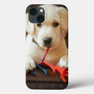 iPhone 13 Case Chiot des images de Getty sur un sofa