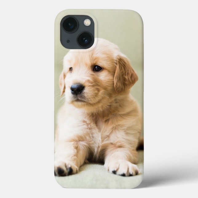 Coques Case-Mate iPhone Chiot d'or sur un canapé (Verso)