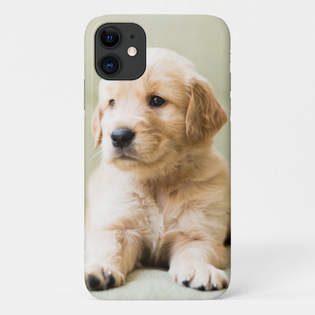 Coques Case-Mate iPhone Chiot d'or sur un canapé (Dos)