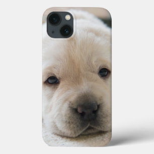 Case-Mate iPhone Case Chiot doré du Labrador doré