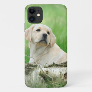 Case-Mate iPhone Case Chiot du Labrador