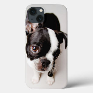 Etui iPhone Case-Mate Chiot Edison Boston Terrier.
