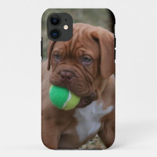 Coque iPhone 11 Chiot français de mastiff