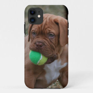 Coque iPhone 11 Chiot français de mastiff