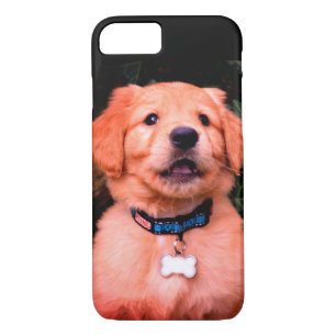 Coque iPhone 7 Chiot Golden Retriever