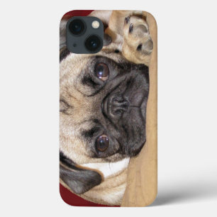 iPhone 13 Coque Chiot mignon de carlin