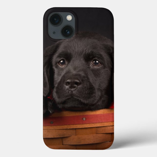 Coques Case-Mate iPhone Chiot noir de labrador retriever dans un panier (Verso)