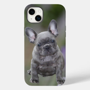 Coque Case-Mate iPhone Chiots Bouledogues Français French Bulldog