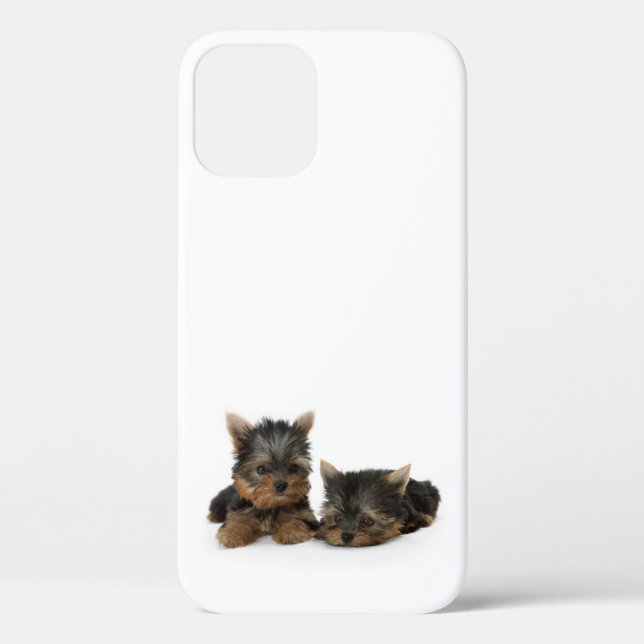 Coques Case-Mate iPhone Chiots du Yorkshire Terrier (Verso)