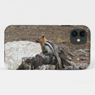 Case-Mate iPhone Case Chipmunk à Yosemite, Californie