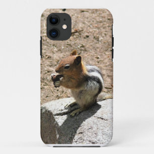 Case-Mate iPhone Case Chipmunk à Yosemite, Californie