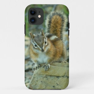 Case-Mate iPhone Case Chipmunk dans le parc national des Glaciers