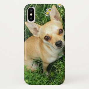 Case-Mate iPhone Case Chiwawa mignon dans le pré d'herbe