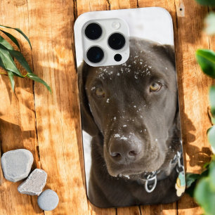 Coque Case-Mate iPhone Chocolat du Labrador à la neige épicée Coque-Ma
