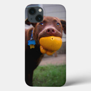 Coque Case-Mate iPhone Chocolat Lab Chiot avec balle