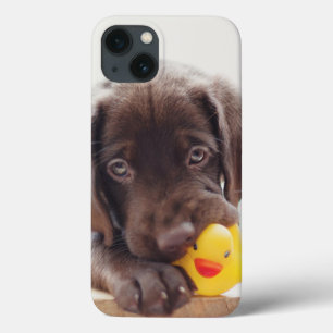 Case-Mate iPhone Case Chocolat Labrador Chiot Avec Canard De Jouet
