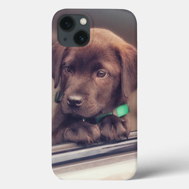 Coques Case-Mate iPhone Chocolat Labrador Chiot En Voiture (Verso)