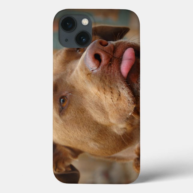 Coques Case-Mate iPhone Chocolat mignon Lab Pit Mix Chien (Verso)