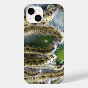 Coque Pour iPhone 14 Chou affamé Canapés blancs