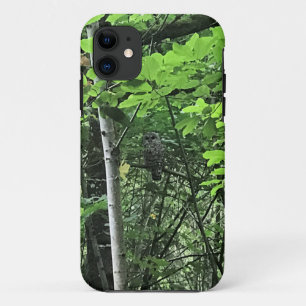 Case-Mate iPhone Case Chouette dans les arbres, Oregon
