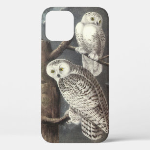 Case-Mate iPhone Case Chouette des neiges par Audubon