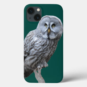Case-Mate iPhone Case Chouette grise
